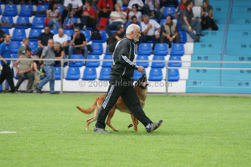 VIP des Loups Mutins916.JPG